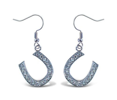 sparkling-earrings-horse-shoe
