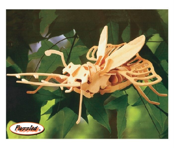 Stag Beetle - 3D Puzzles