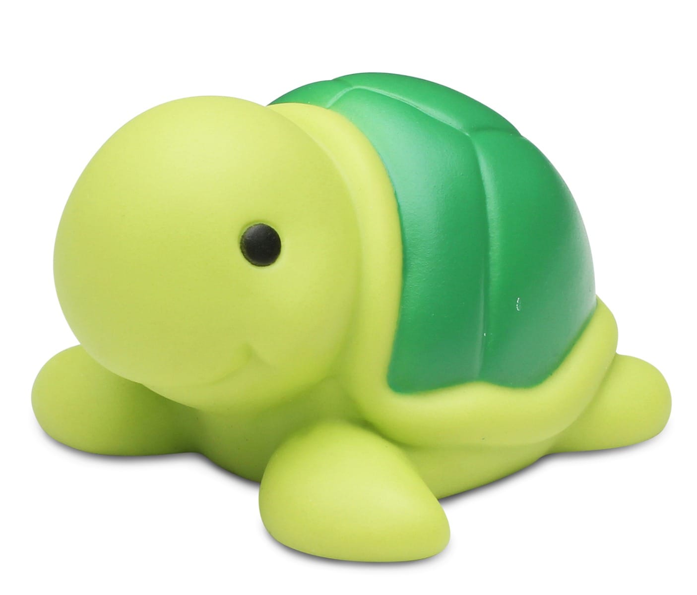 Sea Turtle