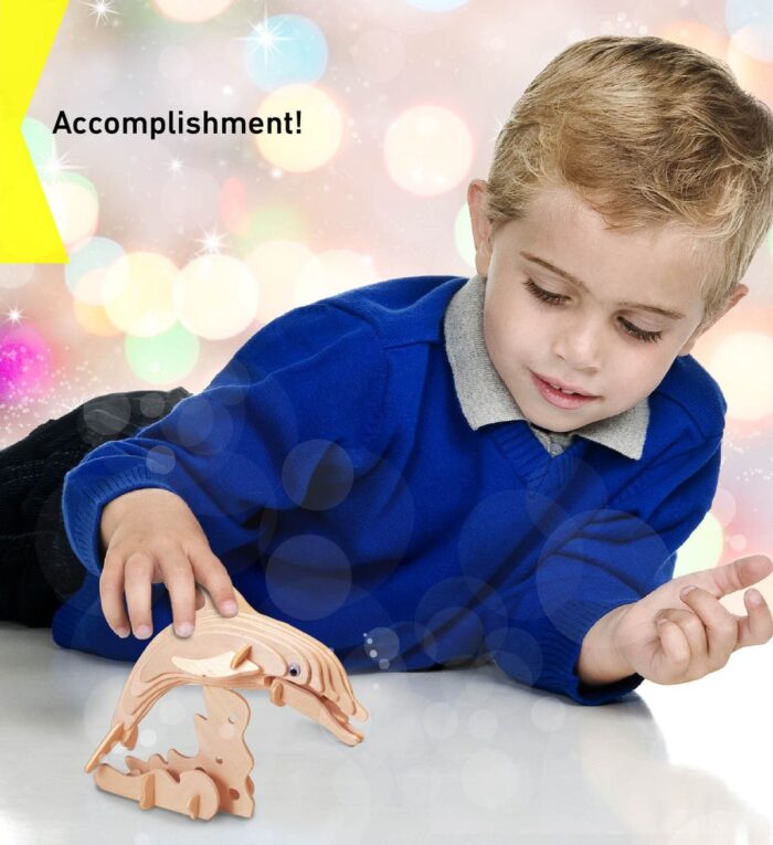 Dolphin - 3D Puzzles - Image 6