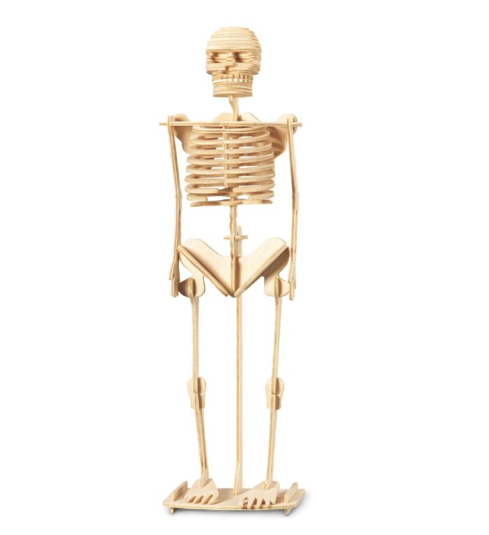Human Skeleton - 3D Puzzles
