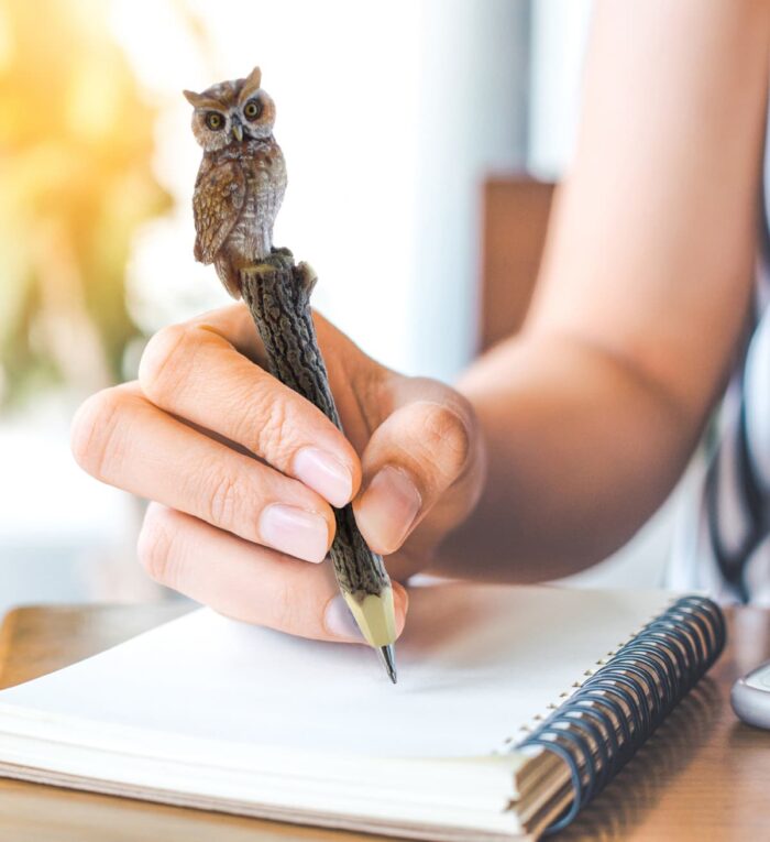 Owl - Planet Pen - Image 8