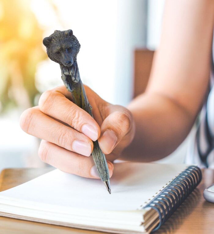 Wild Black Bear - Planet Pen - Image 7