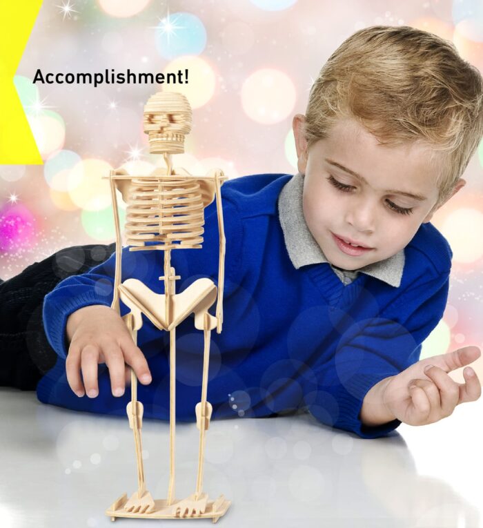 Human Skeleton - 3D Puzzles - Image 6