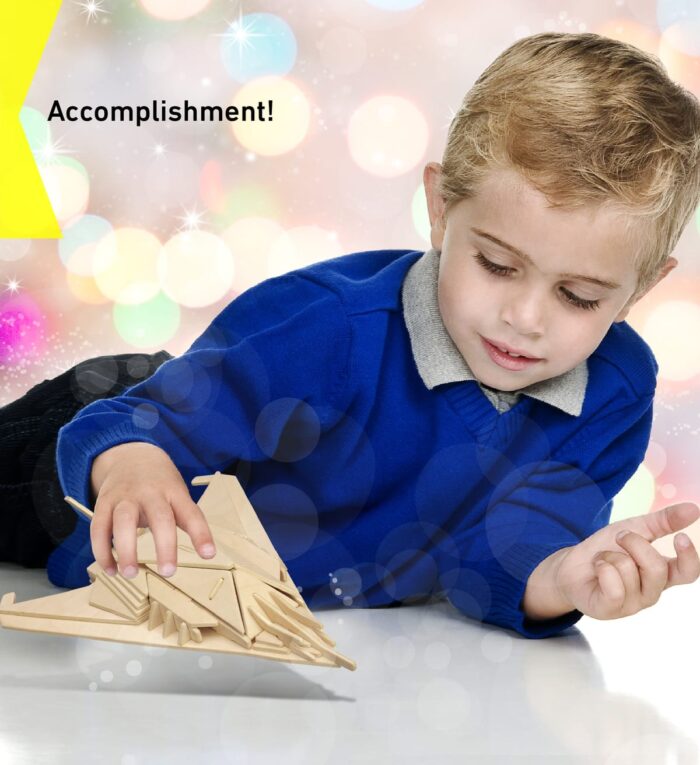 Stealth Bomber - 3D Puzzles - Image 6