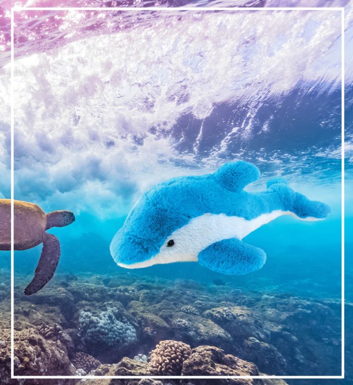 Dolphin - Super-Soft Plush - Image 6