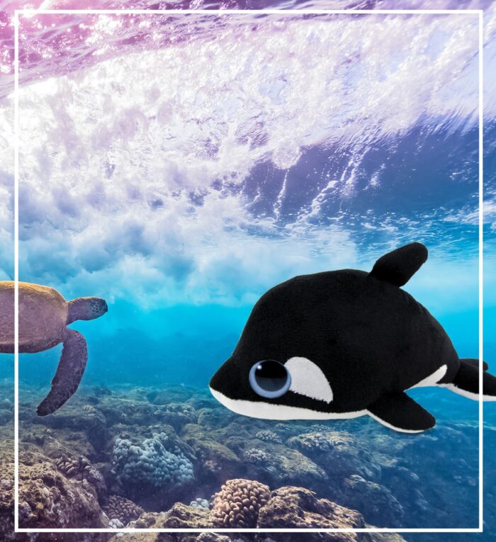 Killer Whale - Big Eye 6 Inch Plush - Image 7