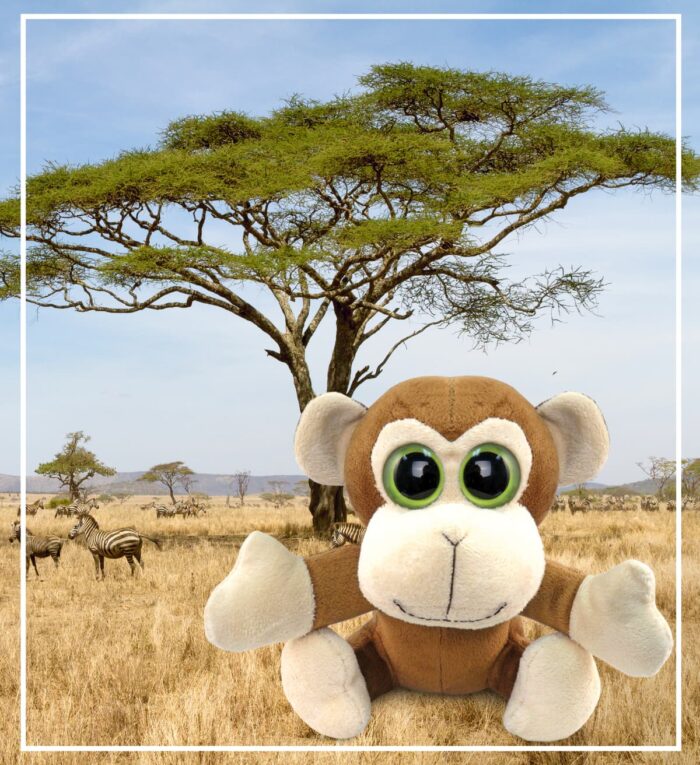 Monkey - Big Eye 6 Inch Plush - Image 7