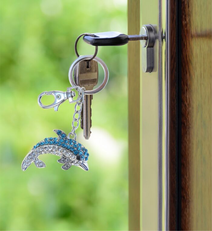 Blue Dolphin 2 - Sparkling Charms - Image 8