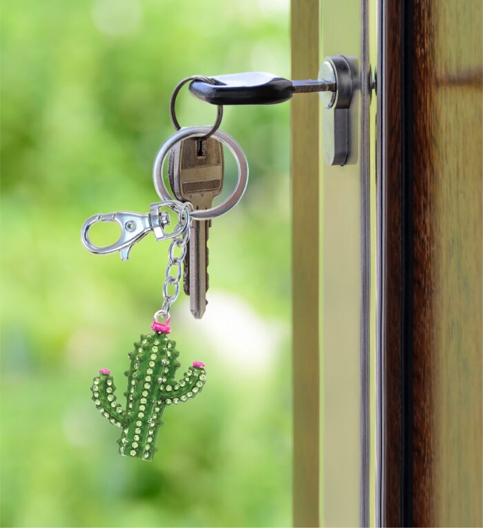Cactus Keychain - Sparkling Charms - Image 8