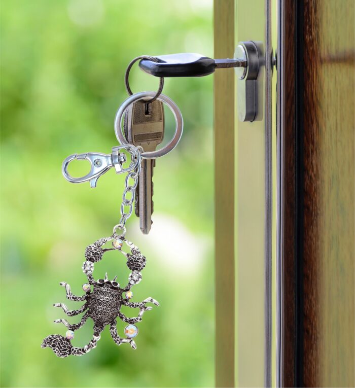 Scorpion Keychain - Sparkling Charms - Image 8