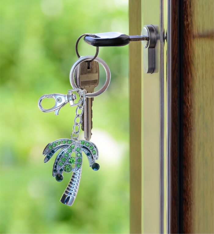 Palm Tree - Sparkling Charms - Image 8