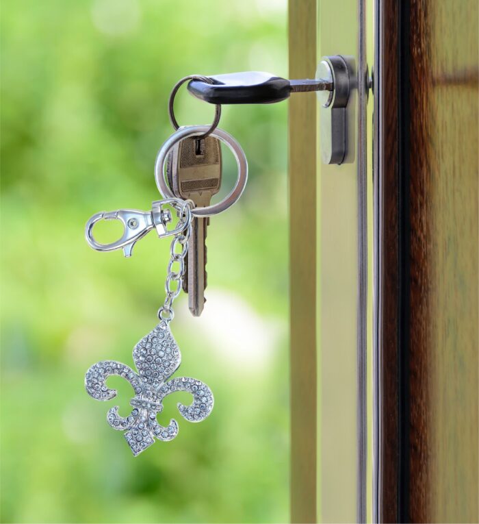 Fleur De Lis - Sparkling Charms - Image 8