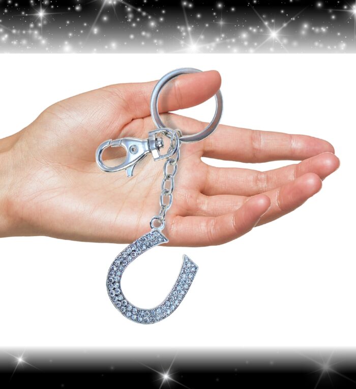 Clear Horse Shoe - Sparkling Charms - Image 4