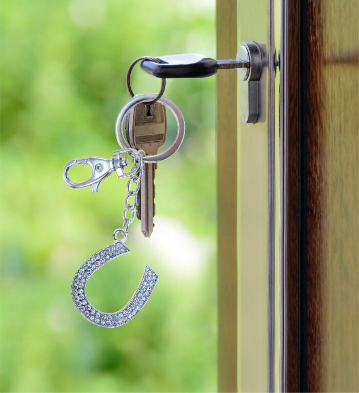 Clear Horse Shoe - Sparkling Charms - Image 8