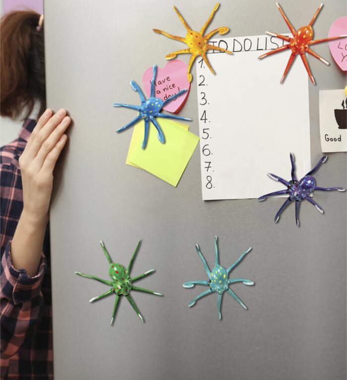 Octopus - Bobble Magnet - Image 6