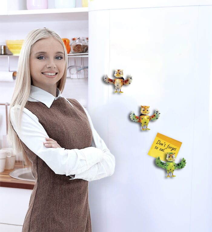 Owl - Bobble Magnet - Image 5