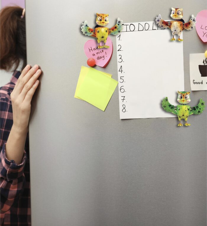 Owl - Bobble Magnet - Image 6