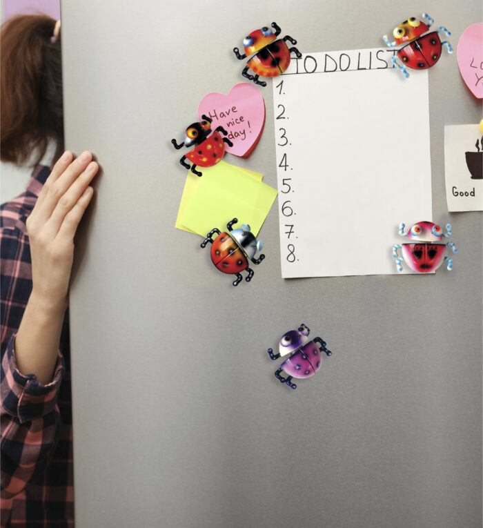 Lady Bug - Bobble Magnet - Image 6