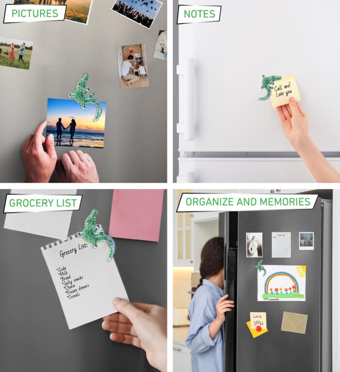Alligator - Sparkling Magnets - Image 3