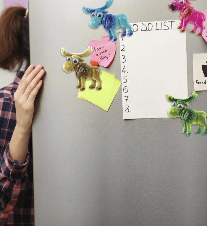 Moose - Bobble-Eye Magnet - Image 6