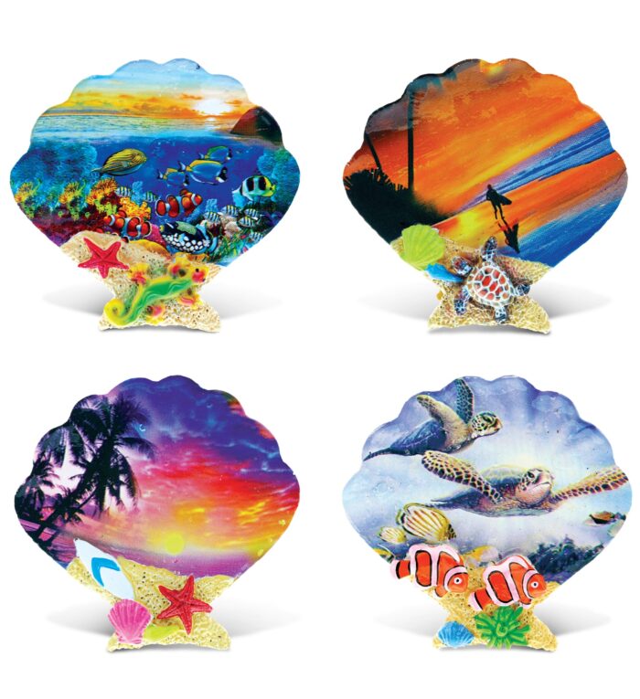 Colorful Tropical Shells Summer Magnet  - Summer Magnet