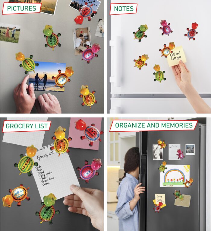 Turtle - Bobble Magnet - Image 3