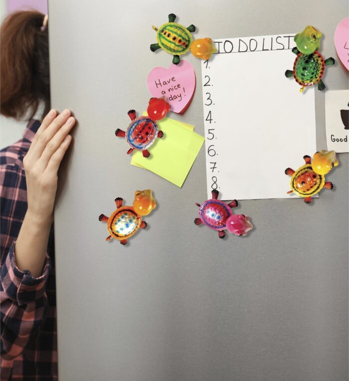 Turtle - Bobble Magnet - Image 6