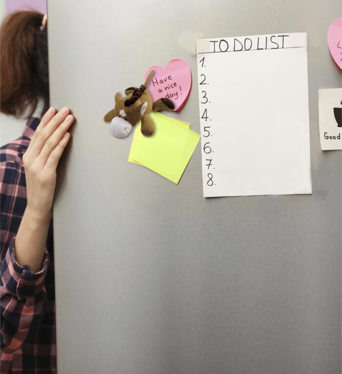 Horse - Plush Magnet - Image 6