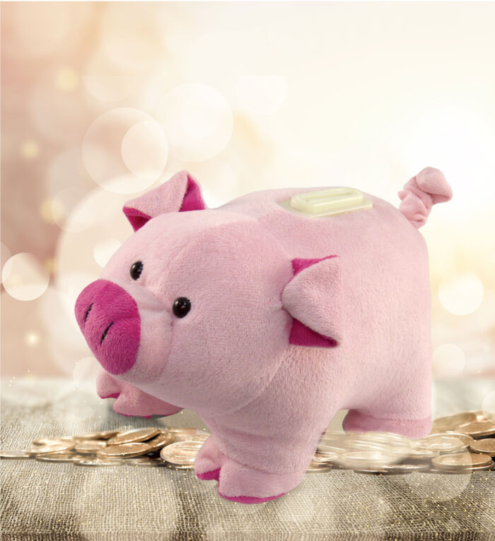 Pig - Plush Bank - Image 5