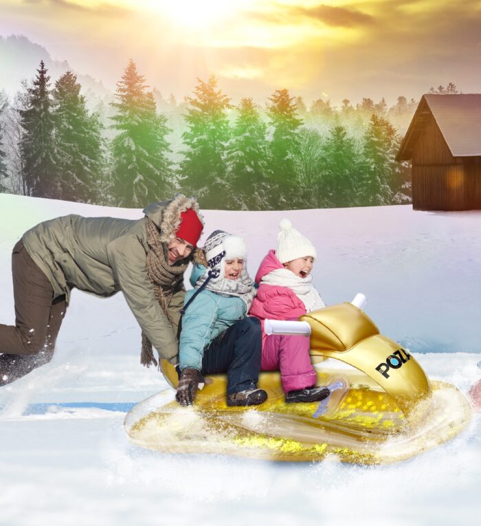 Gold Snowmobile - Poza - Image 5