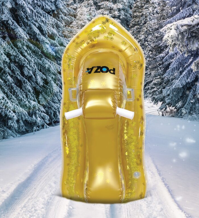 Gold Snowmobile - Poza - Image 7