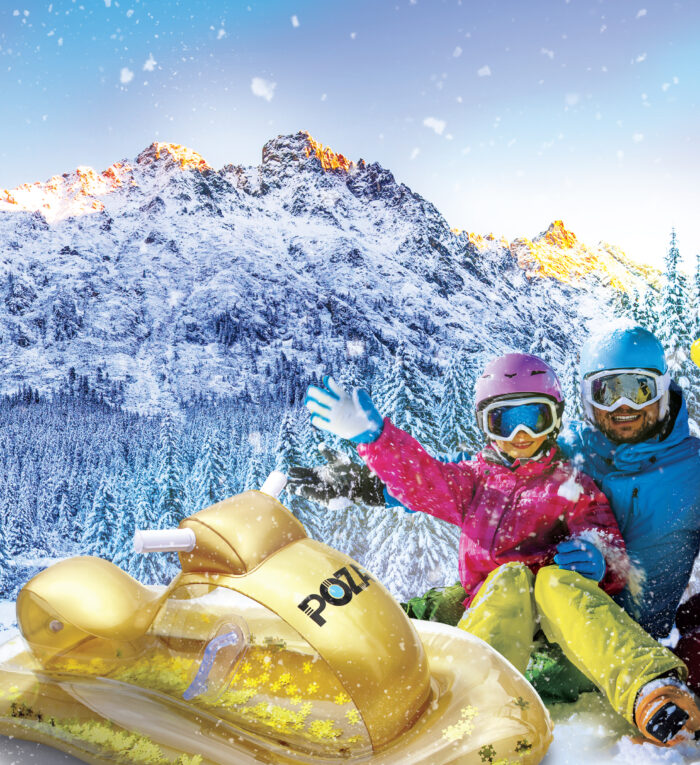 Gold Snowmobile - Poza - Image 8