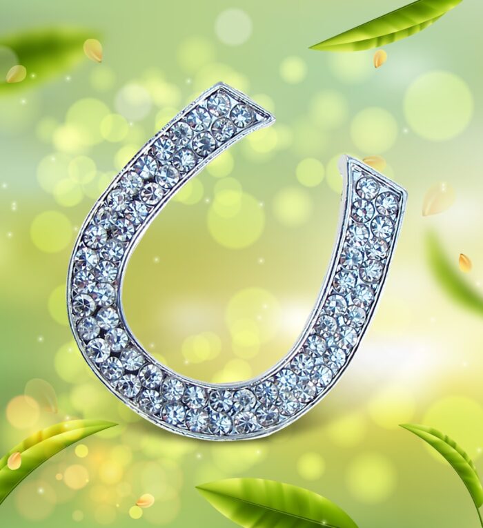 Horse Shoe - Sparkling Magnets - Image 2