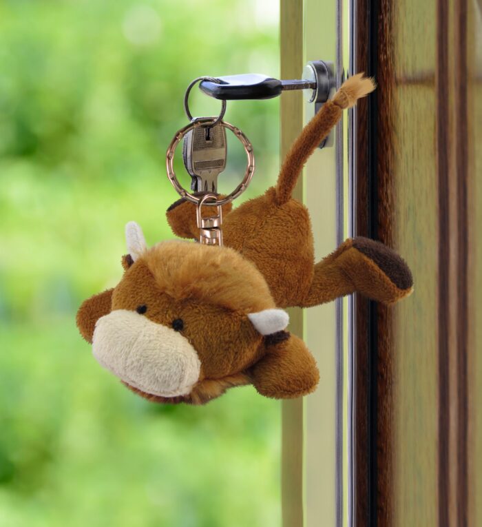 Buffalo - Plush Keychain - Image 5